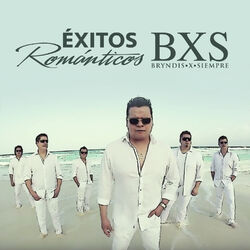 Cover of Éxitos Románticos