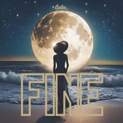 Cover of Fine