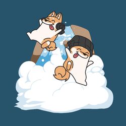 Cover of Waterfall