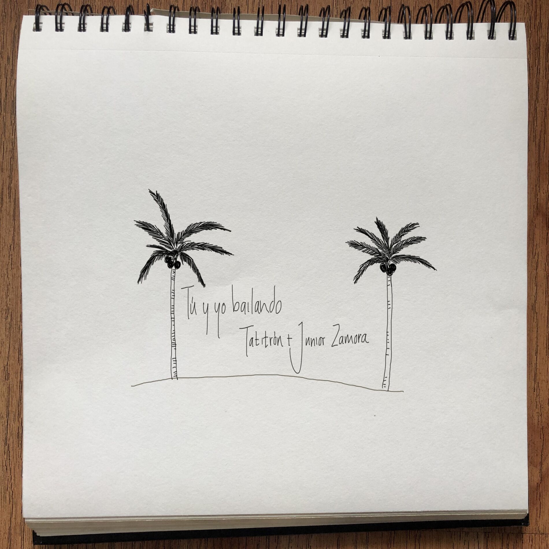 Album cover of Tú y Yo Bailando