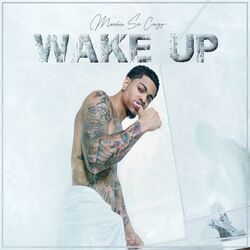 Cover of Wake Up