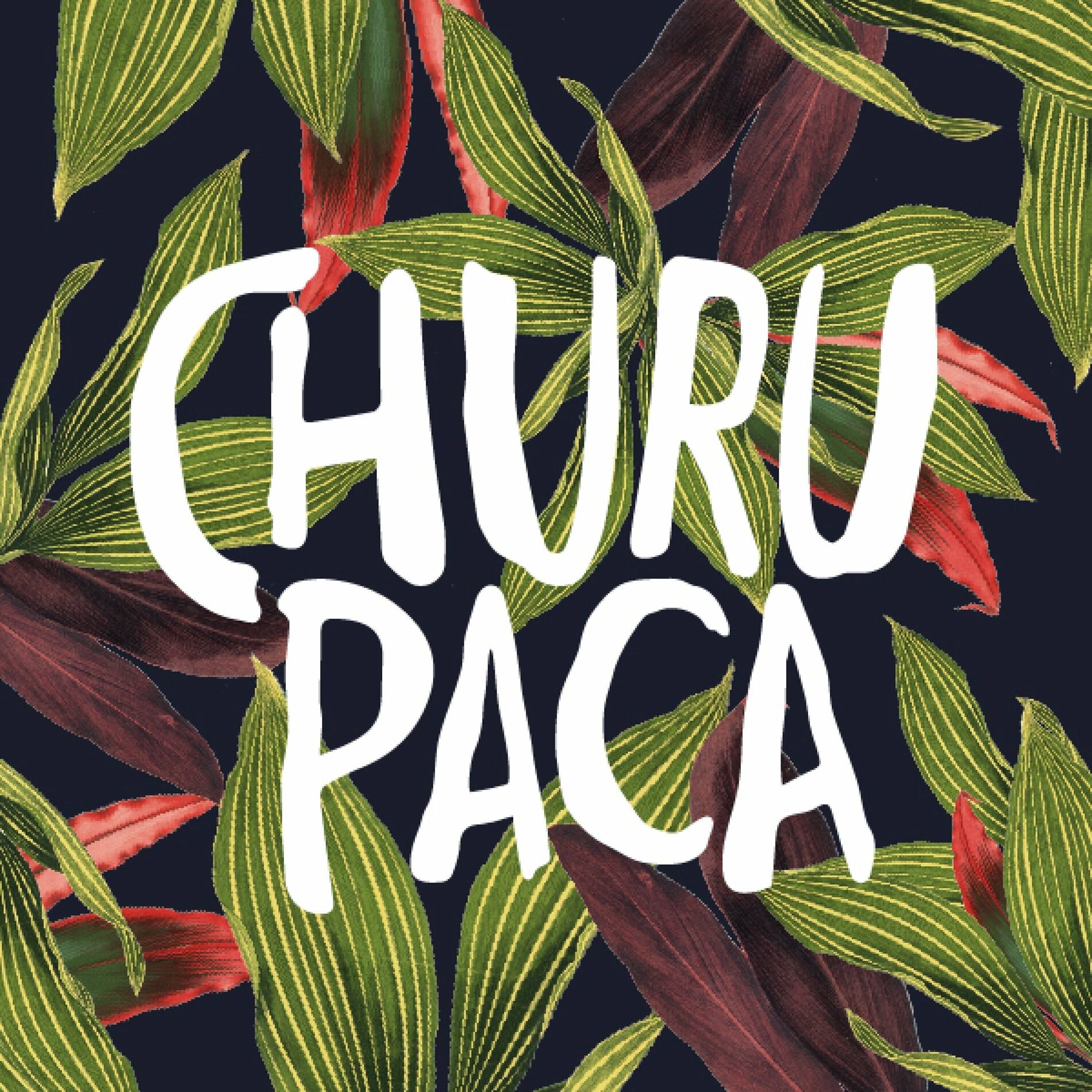 Album cover of Churupaca