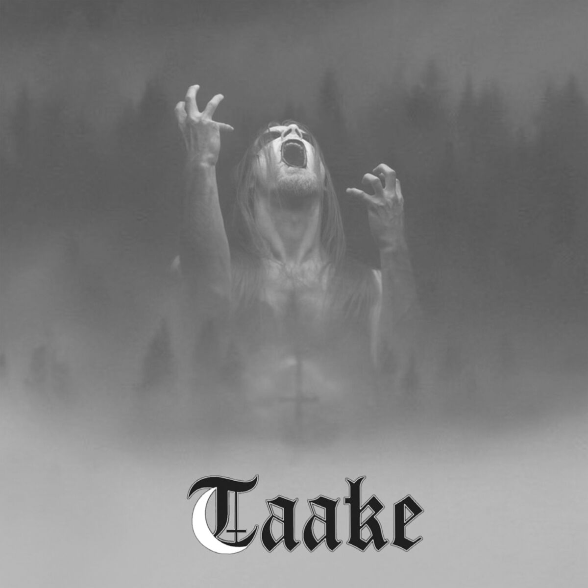 Album cover of Taake