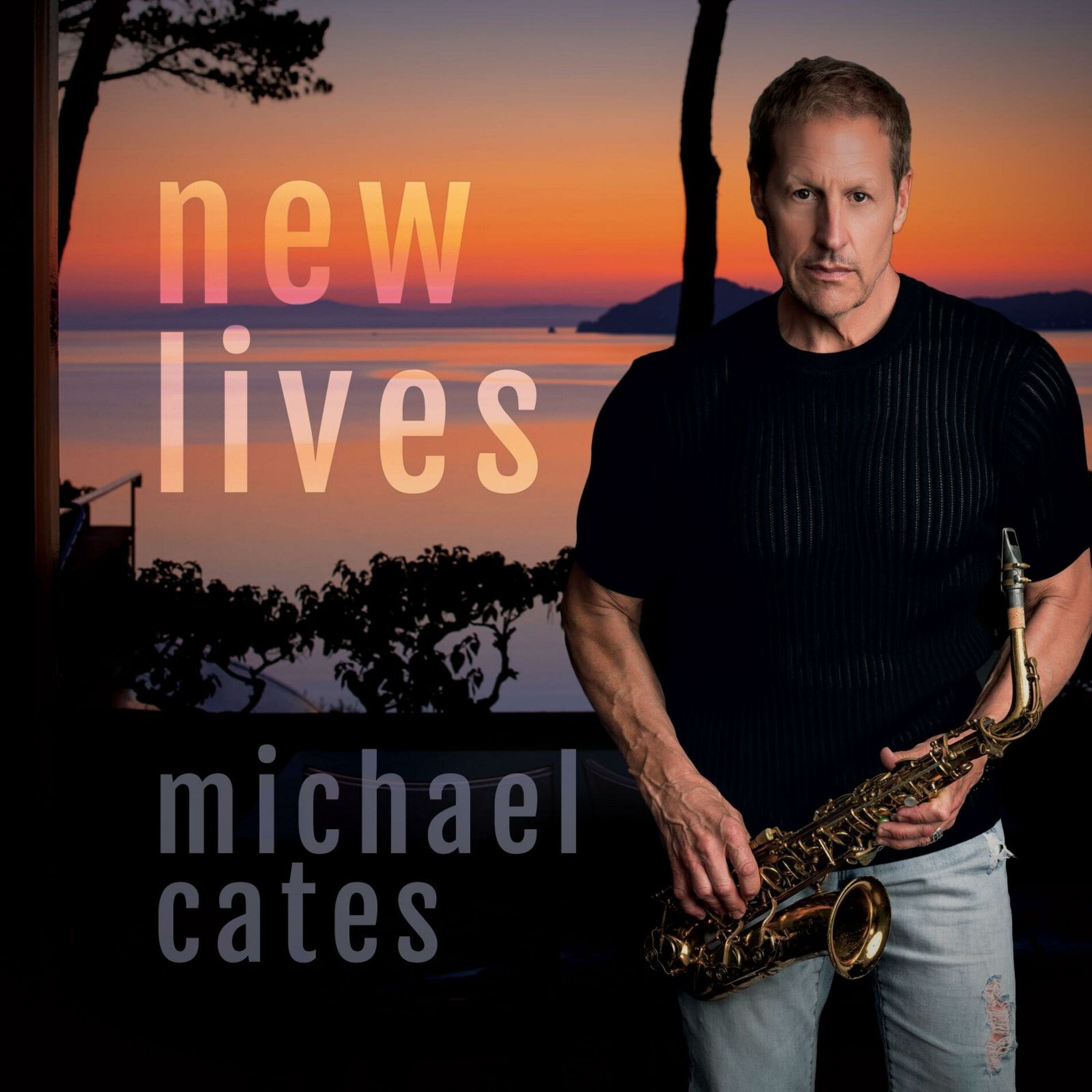Album cover of New Lives (Radio Edit)