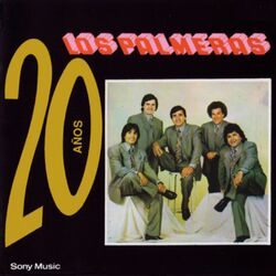 Cover of 20 Años