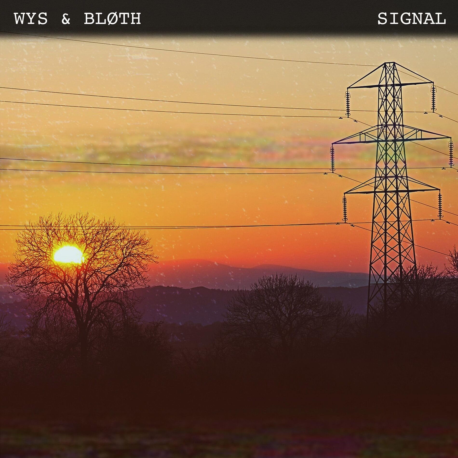Album cover of Signal (feat. WYS)