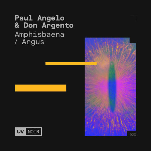 Amphisbaena / Argus