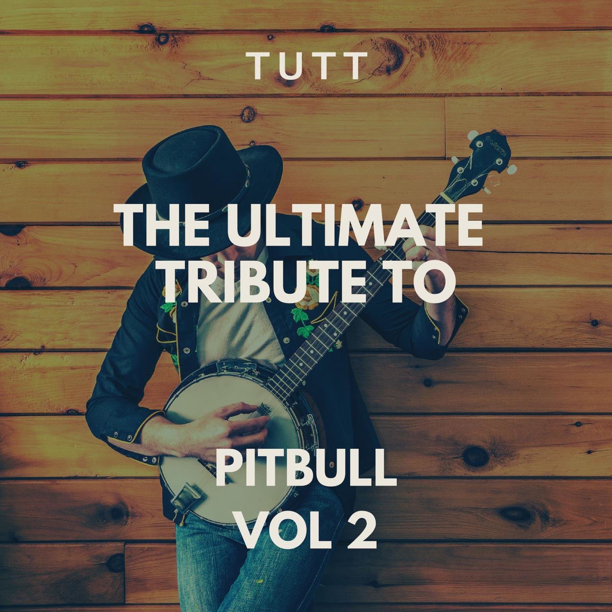 Album cover of The Ultimate Tribute To Pitbull Vol 2