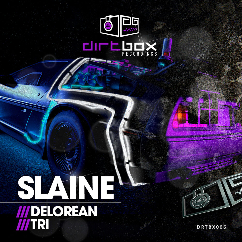 Picture of Delorean / TRI