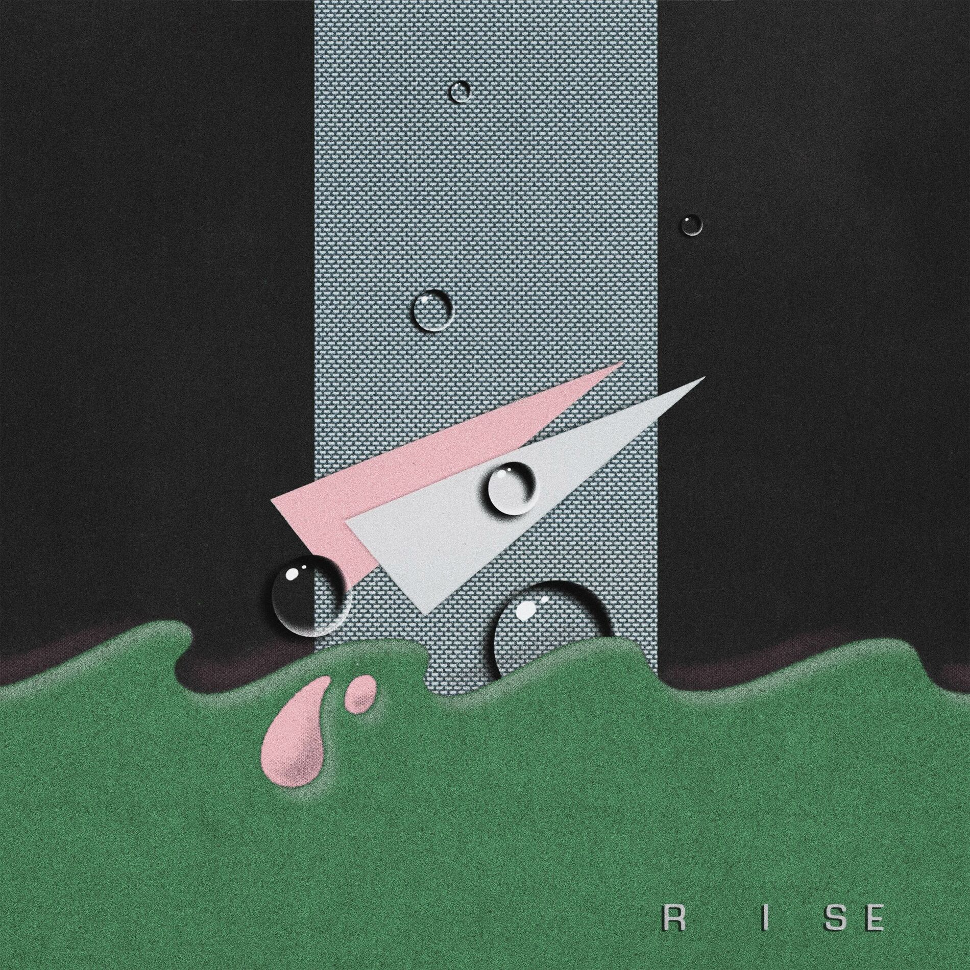 Album cover of Rise