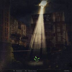 Cover of Samsara