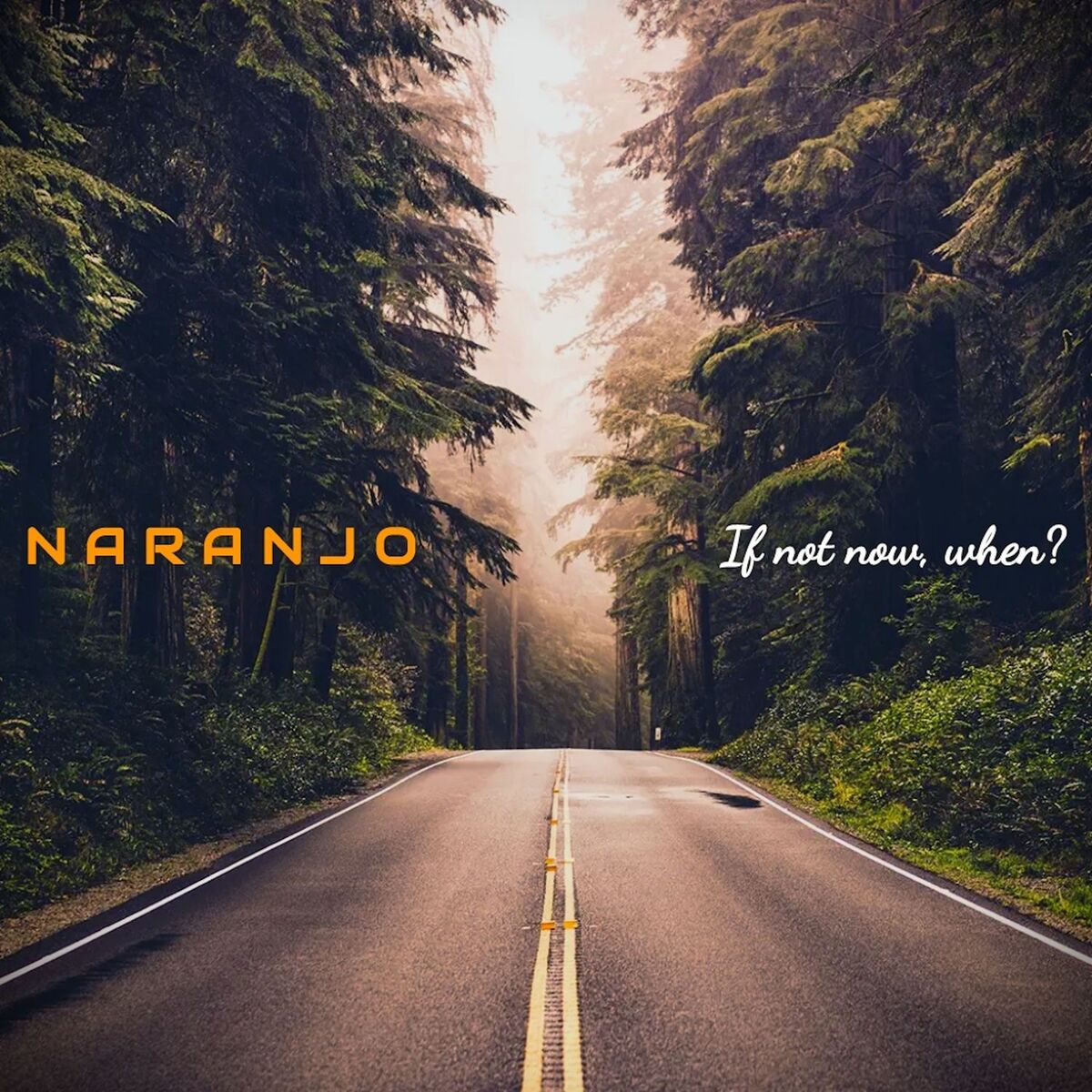 Album cover of If Not Now, When?