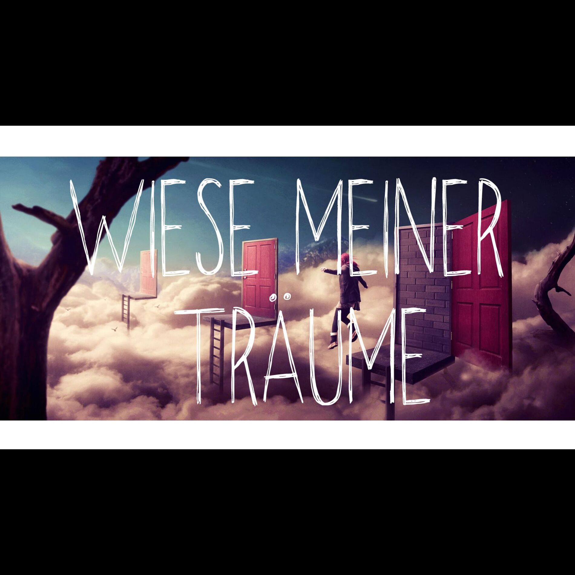 Album cover of Wiese meiner Träume (Mariobeatz)