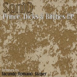 Cover of Prince, Dicks & Bitches