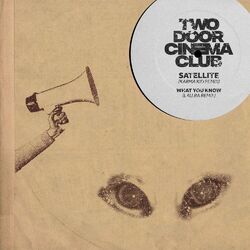 Cover of Satellite / What You Know (Karma Kid & Lau.ra Remixes)