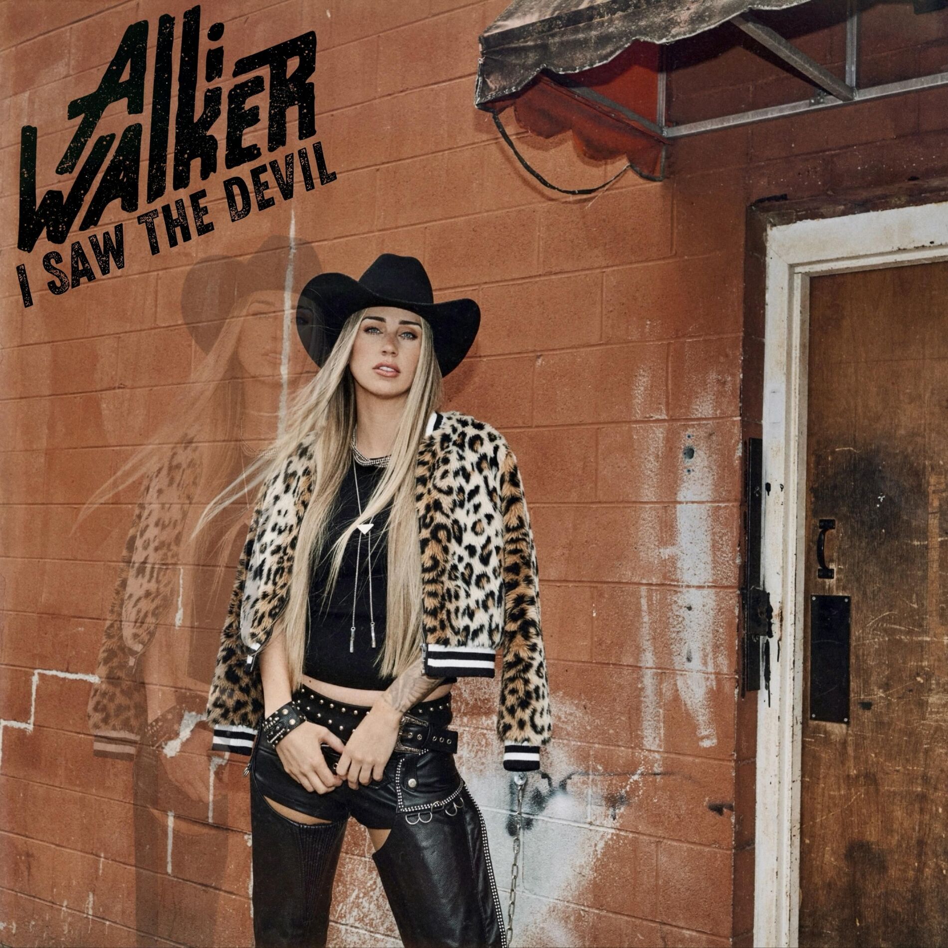 Album cover of I Saw the Devil