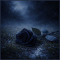 Soft Rain