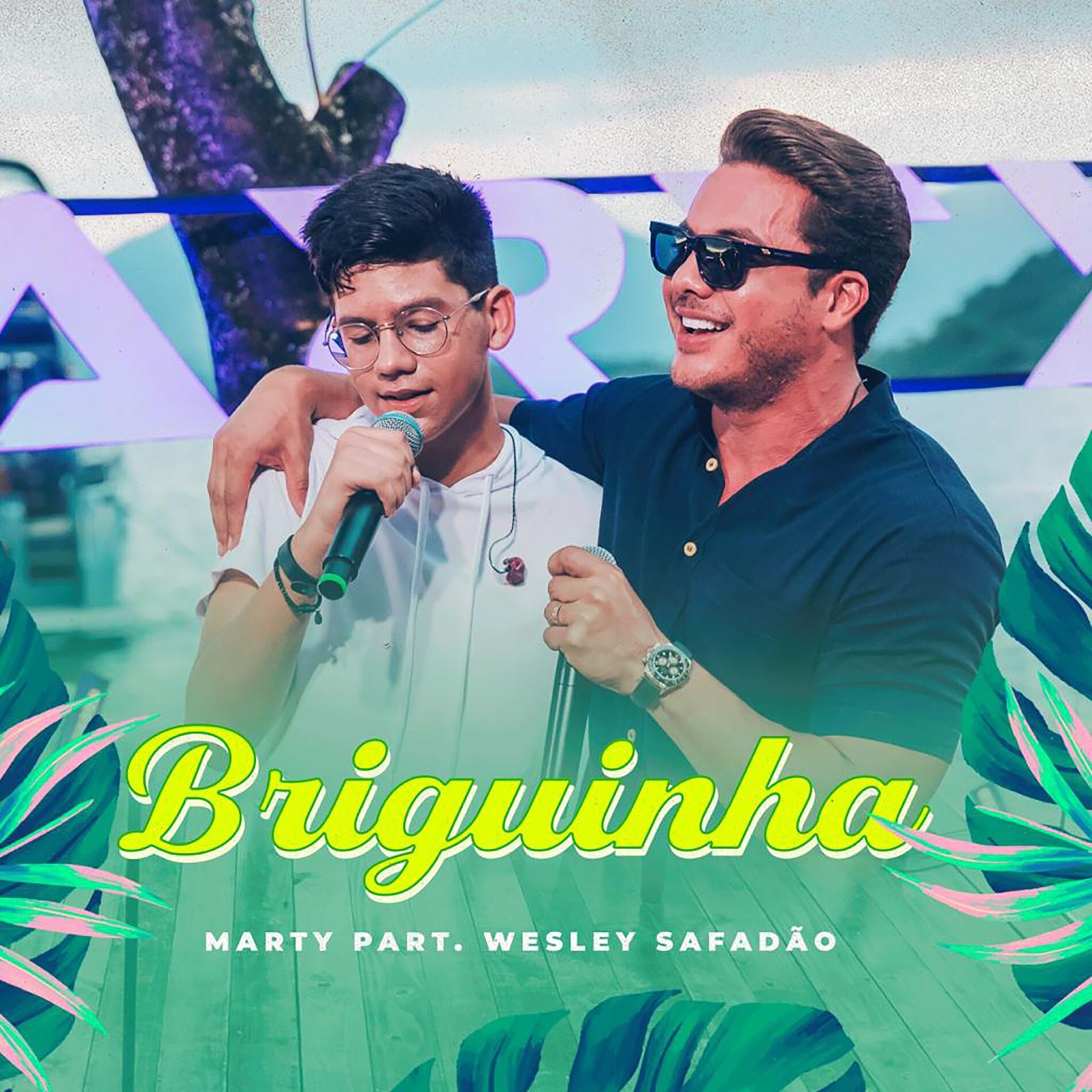 Album cover of Briguinha (Ao Vivo)