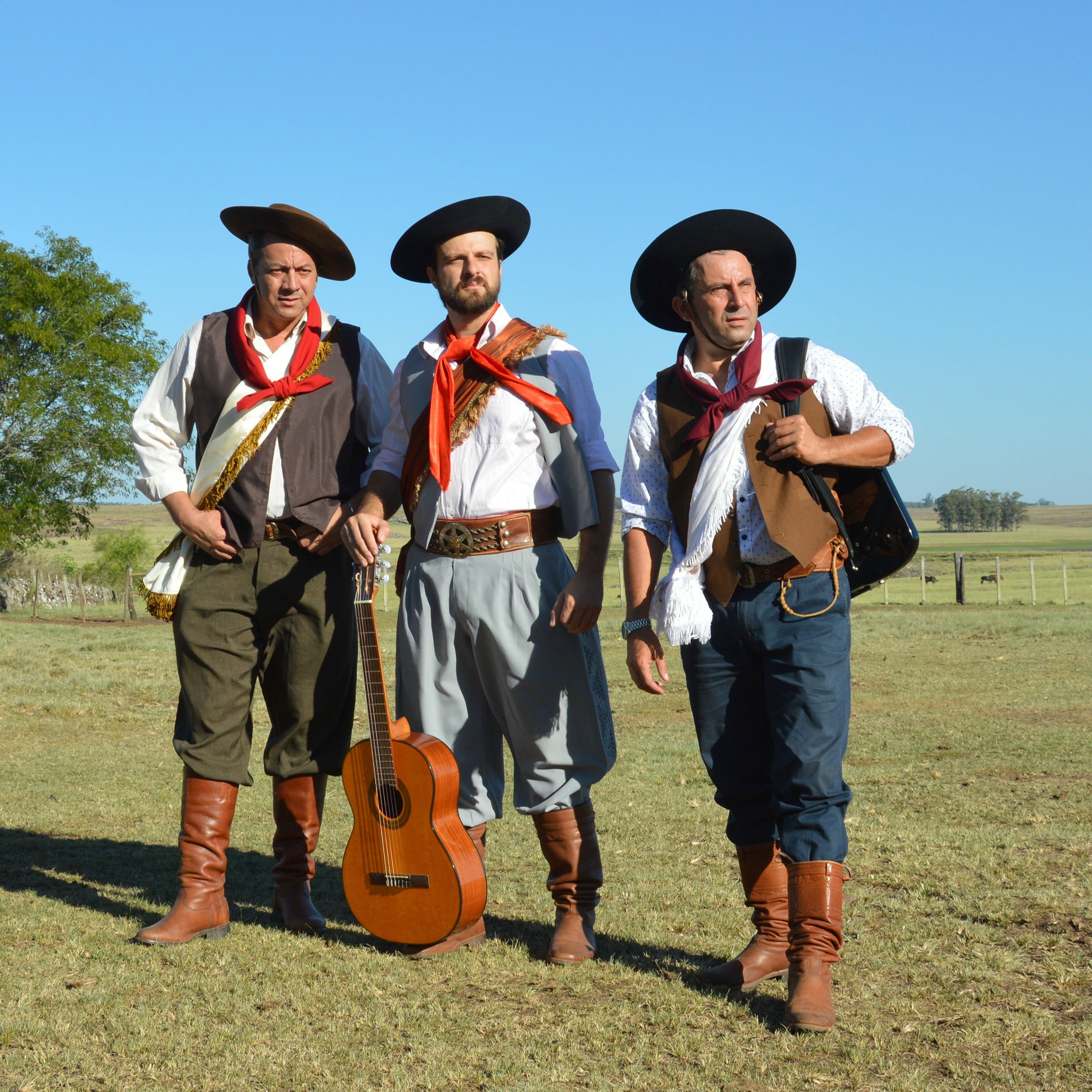 Album cover of Um Quadro de Campo