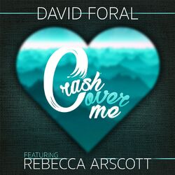 Cover of Crash over Me