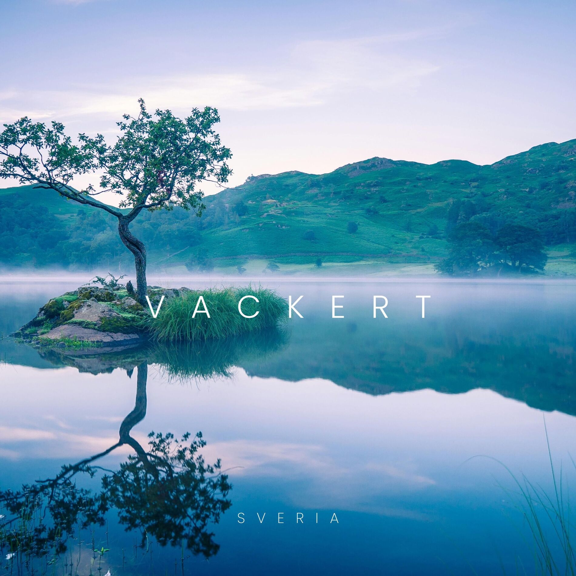 Album cover of Vackert