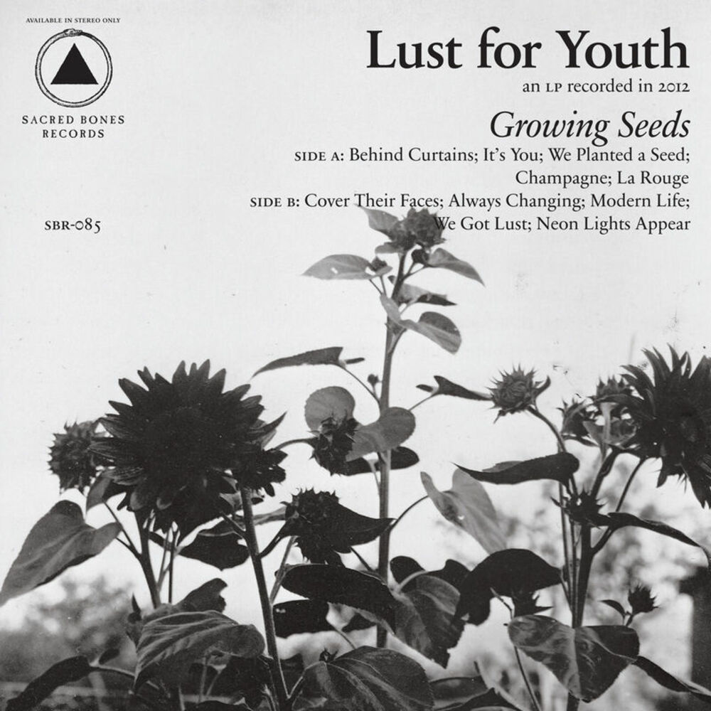 Picture of Growing Seeds