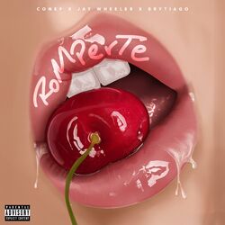 Cover of Romperte