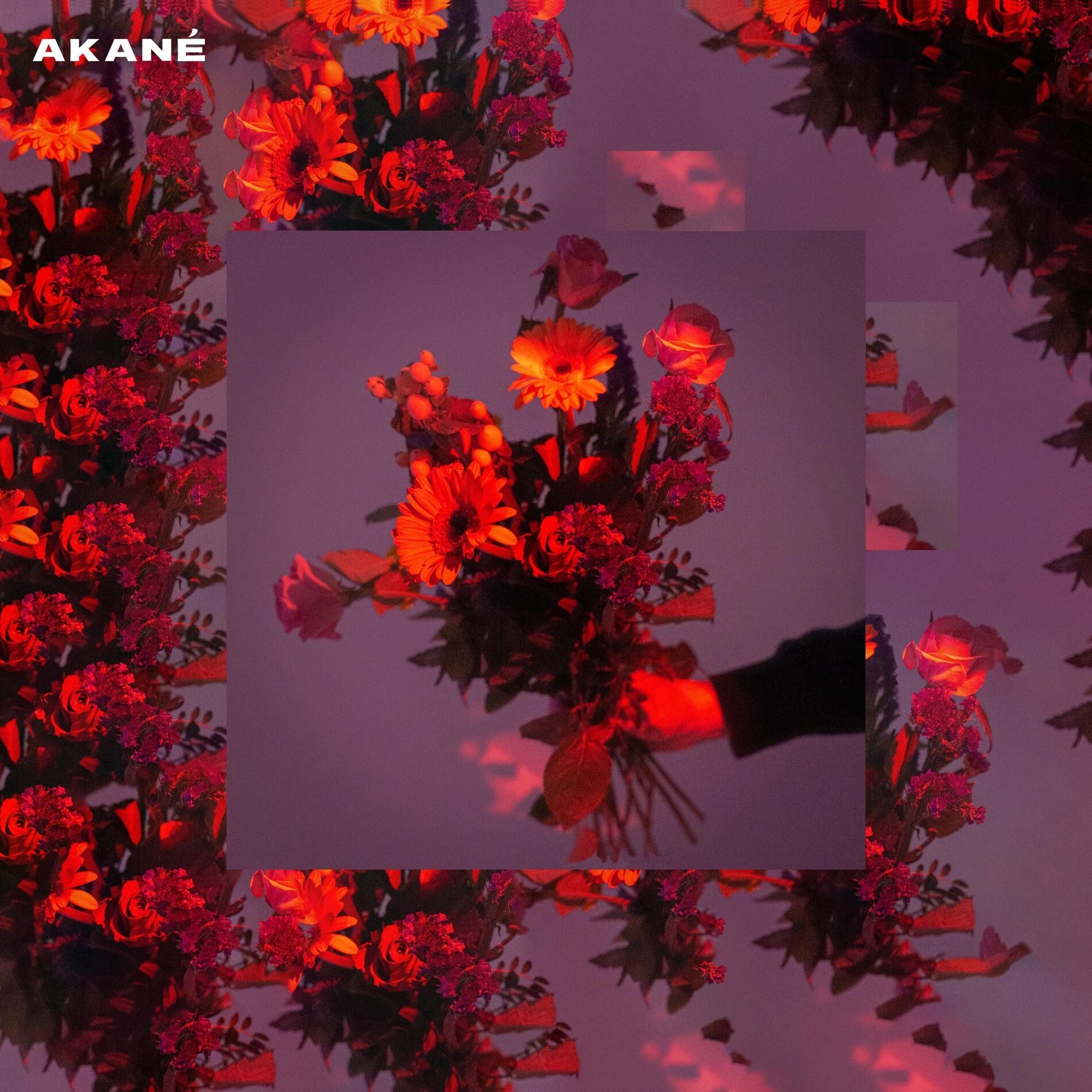 Album cover of Akané