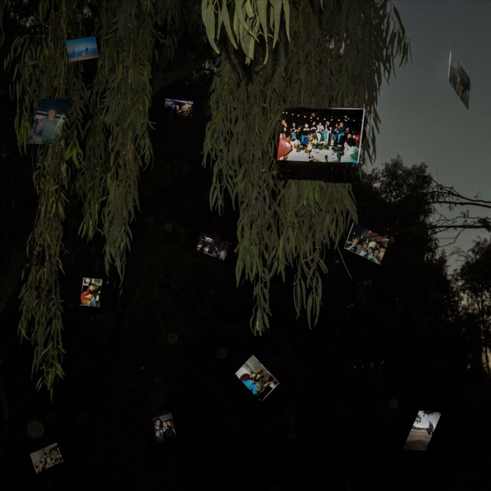Picture of Pictures
