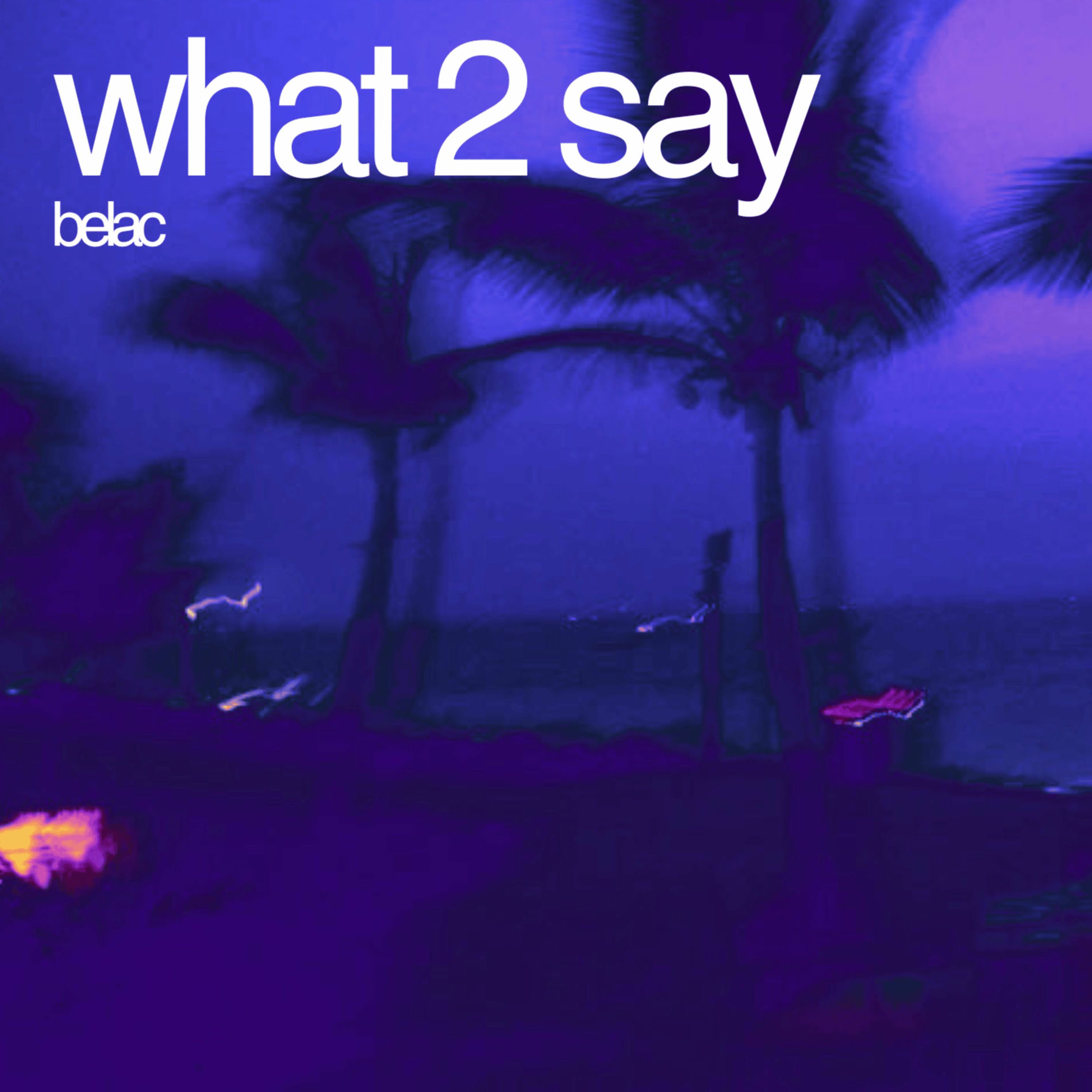 Album cover of What 2 Say