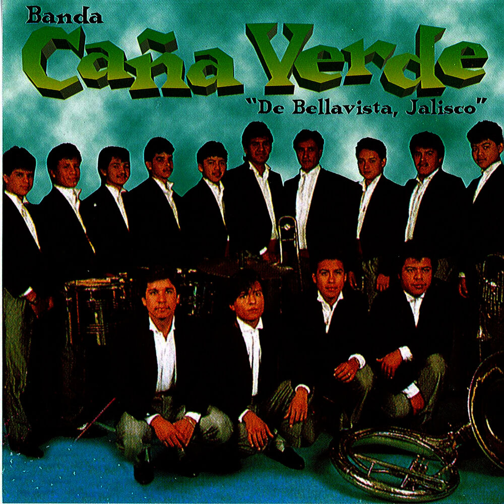 Picture of El Puno De Tierra