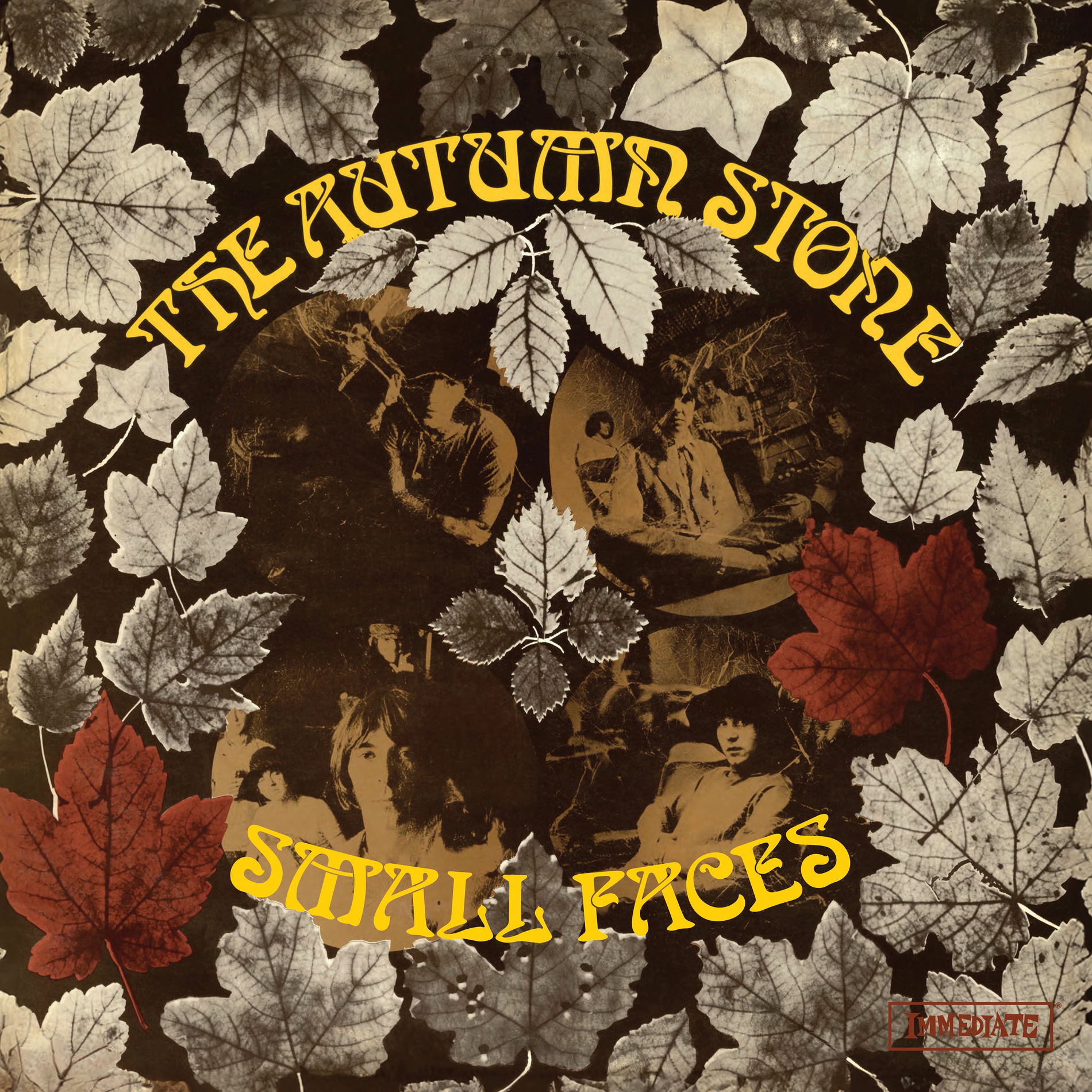 Album cover of The Autumn Stone (2025 Remaster)