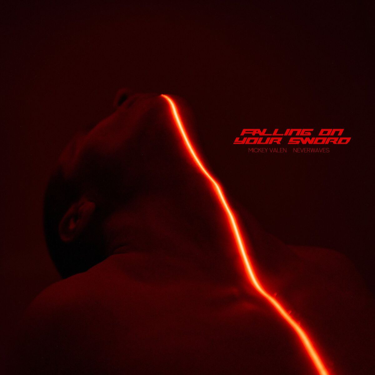 Album cover of Falling On Your Sword