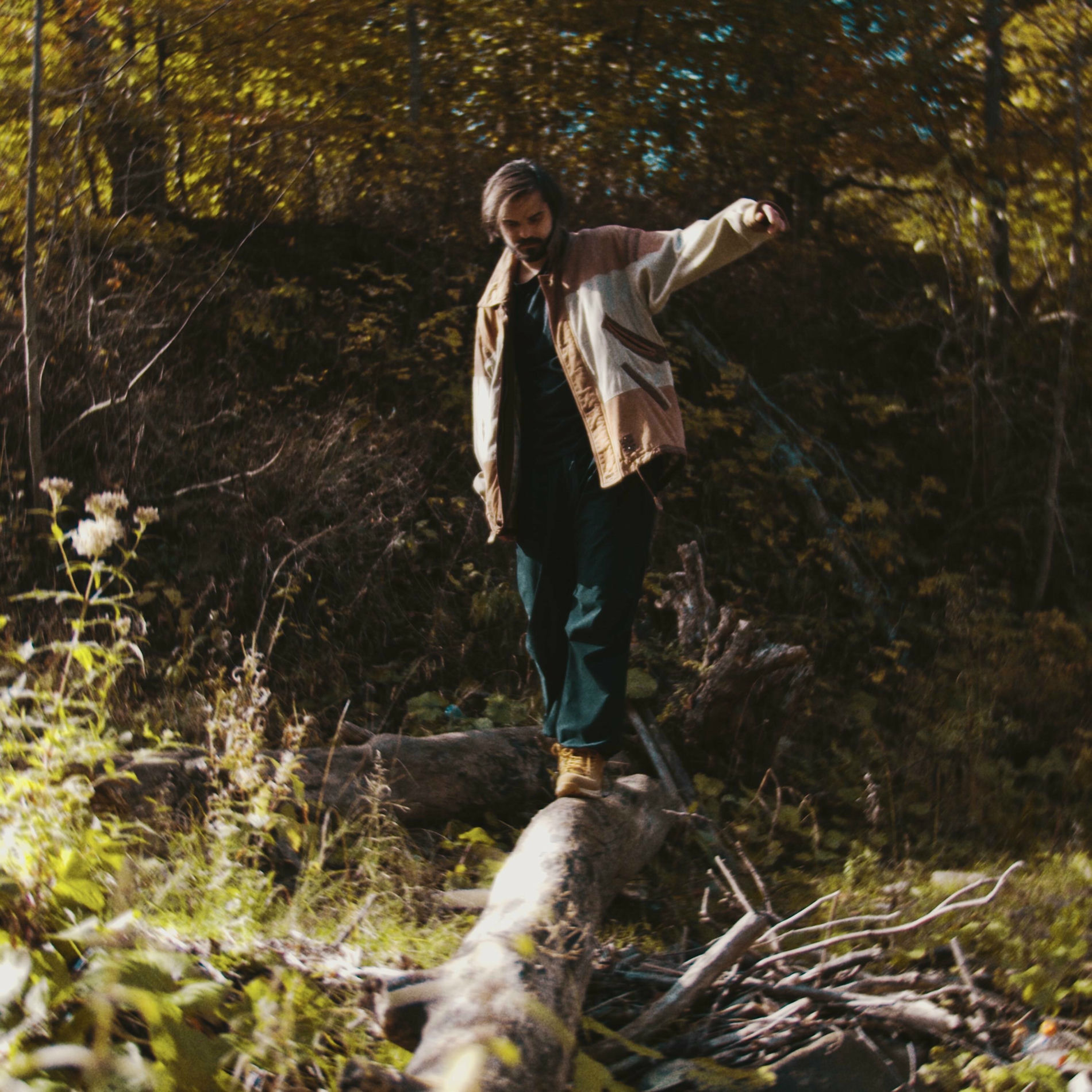 Album cover of Fara vina