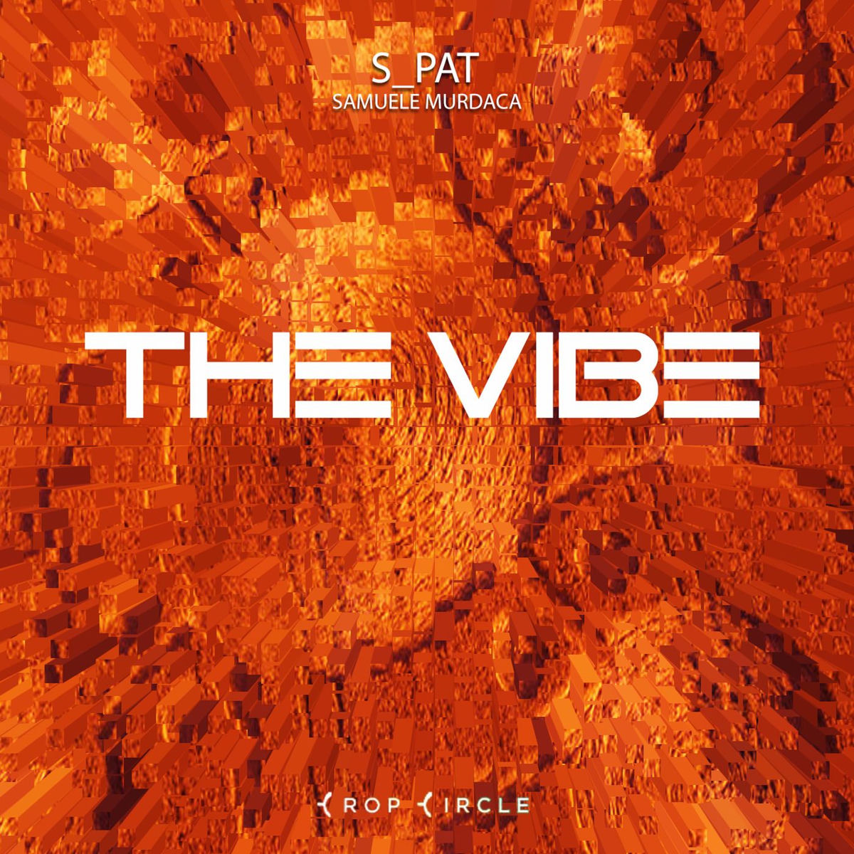 Album cover of The Vibe
