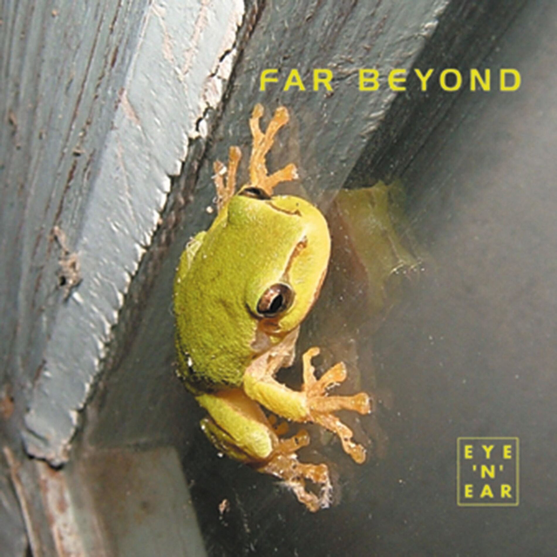 Album cover of FAR BEYOND