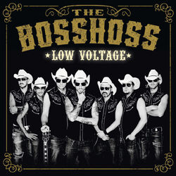 Cover of Low Voltage