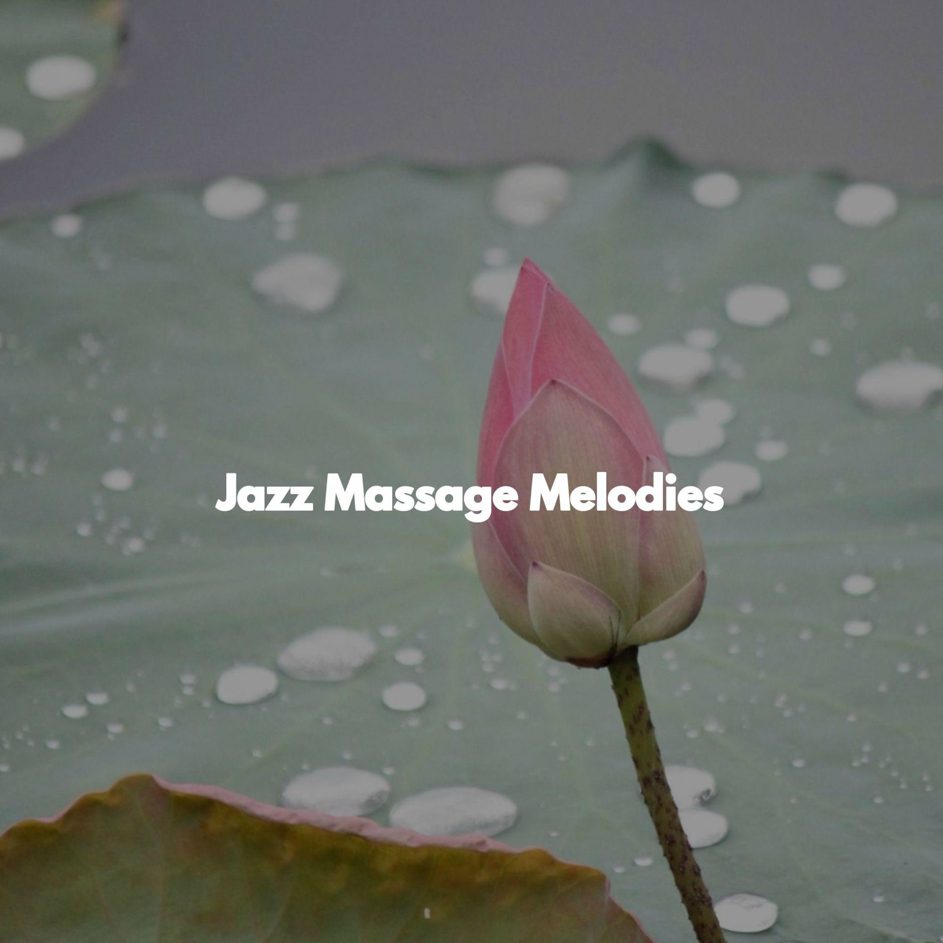 Album cover of Jazz Massage Melodies