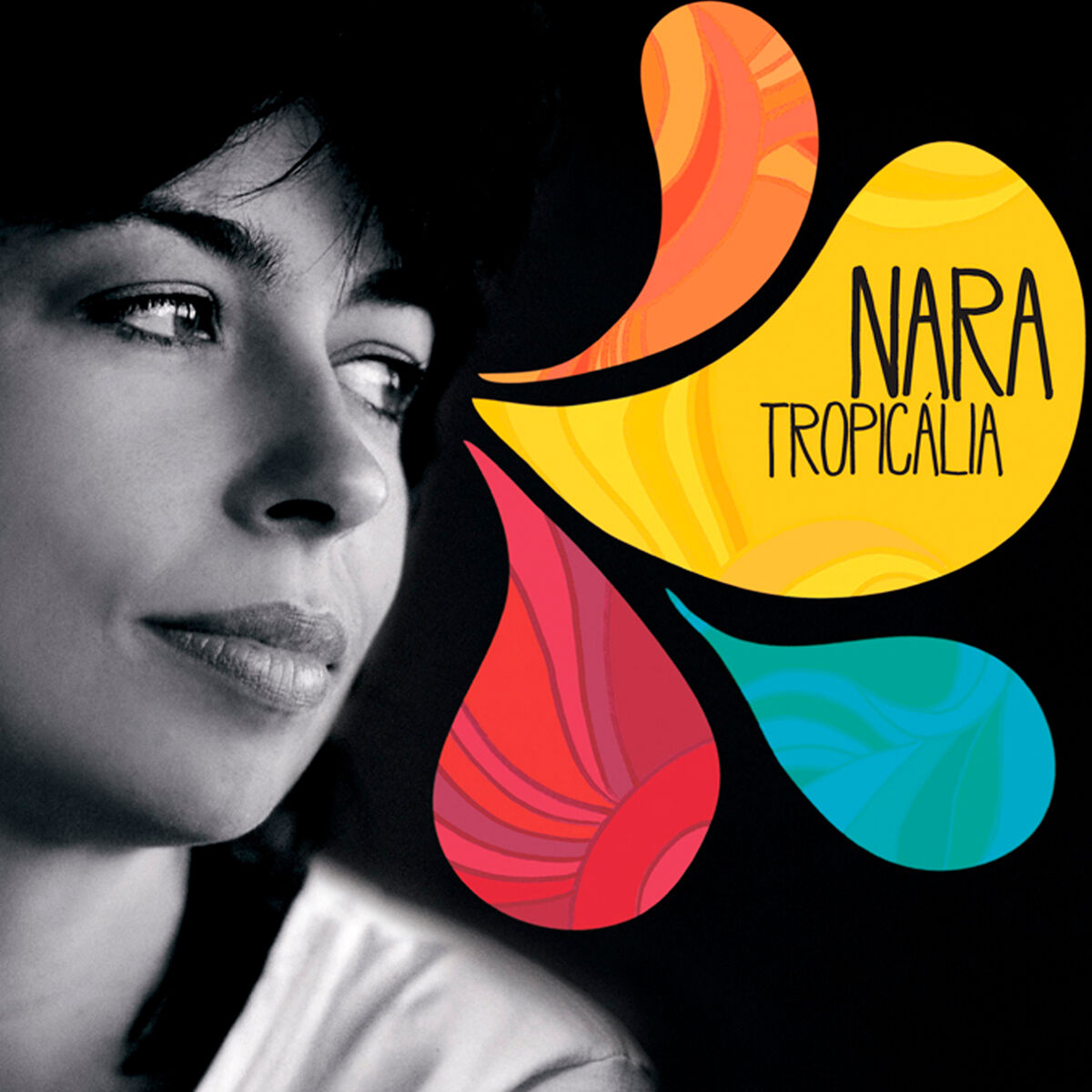 Album cover of Apanhei-Te Cavaquinho