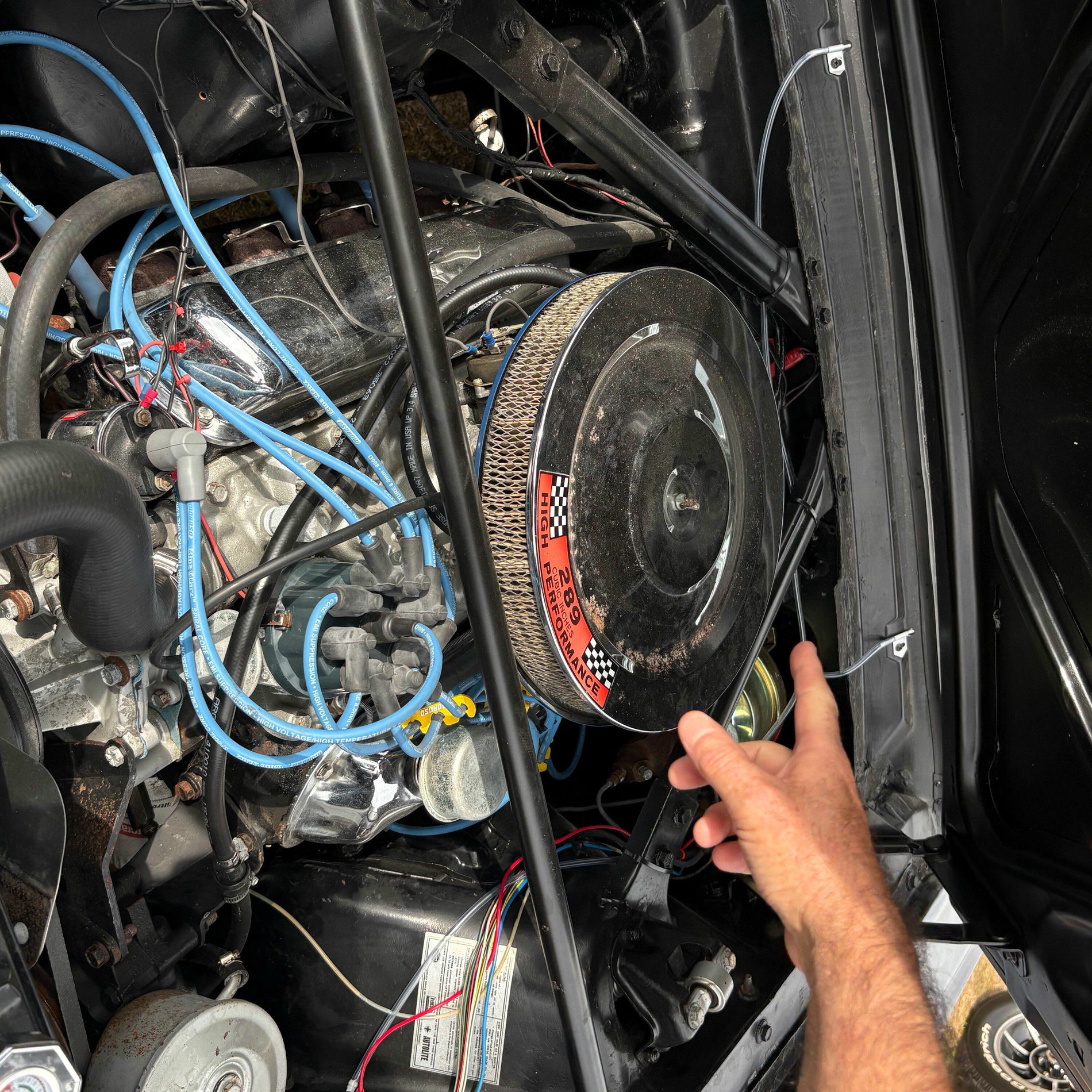 Album cover of rollback freestyle