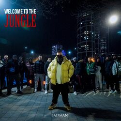Cover of Welcome To The Jungle