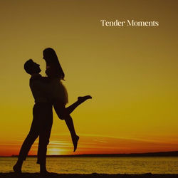 Cover of Tender Moments by undefined