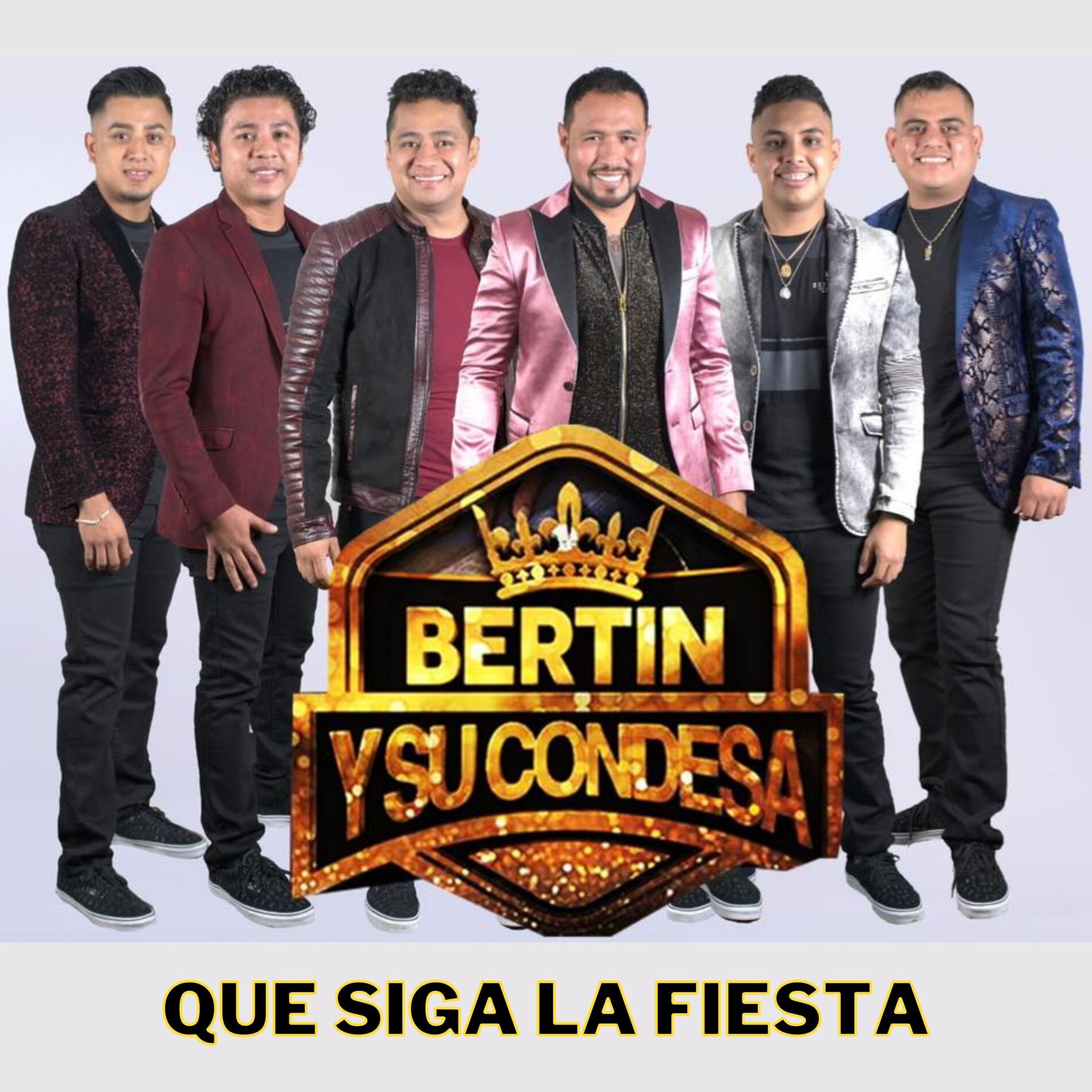 Album cover of Que Siga la Fiesta (Live)