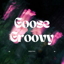 Pochette album