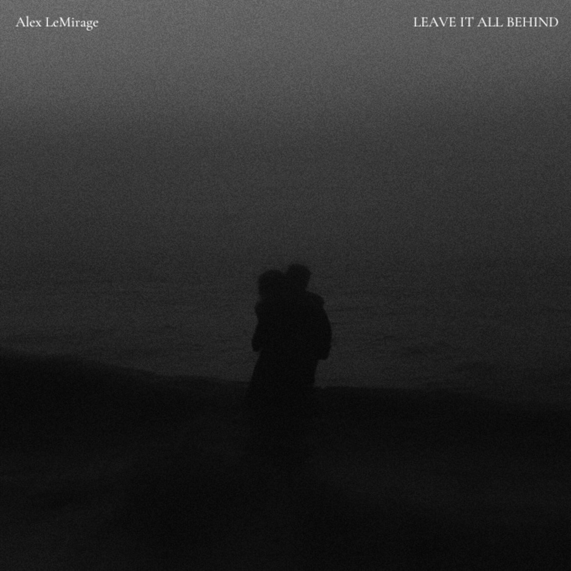 Album cover of LEAVE IT ALL BEHIND [DVDA REMIX]