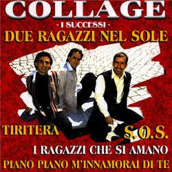 Cover of I Successi