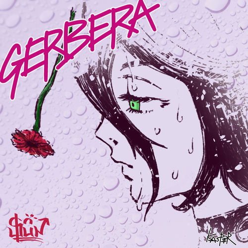 Gerbera
