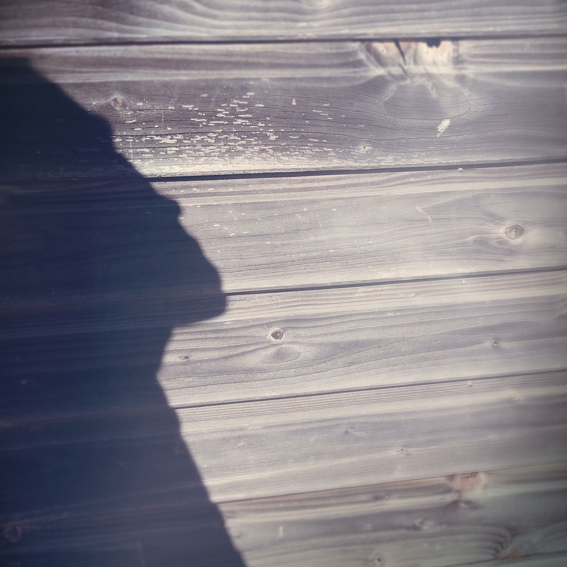 Album cover of L'été n'en finit pas