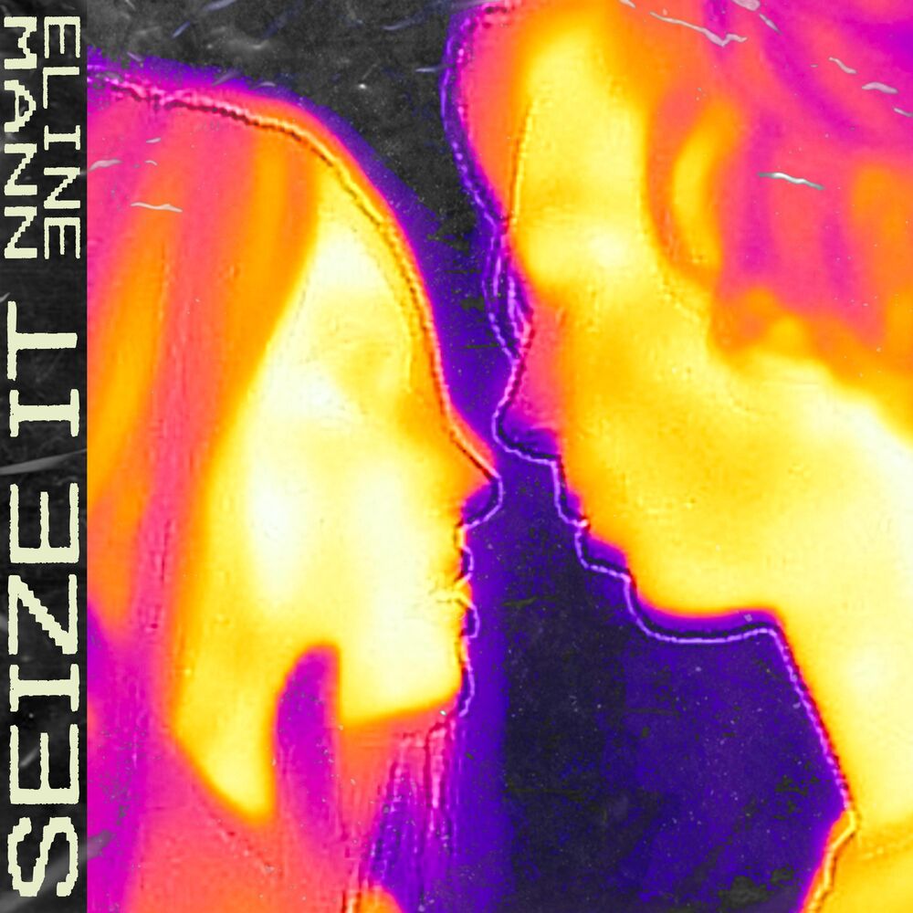 Picture of Seize It