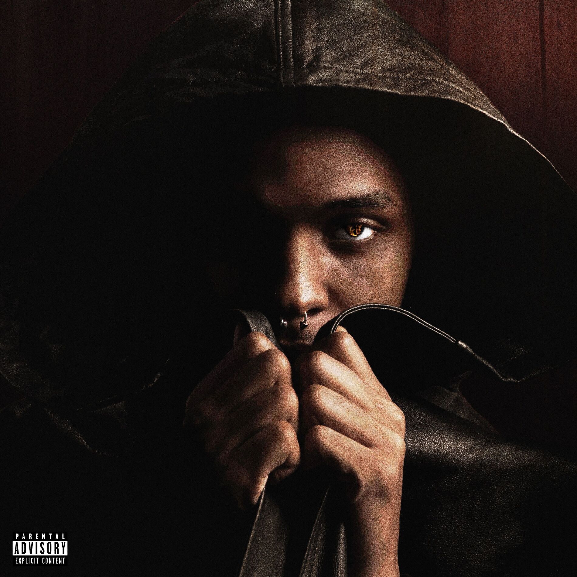 Album cover of Don't Hold The Fire